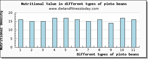 pinto beans nutritional value per 100g